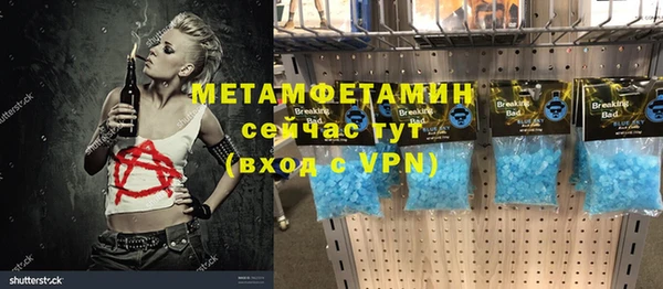 сатива Снежногорск
